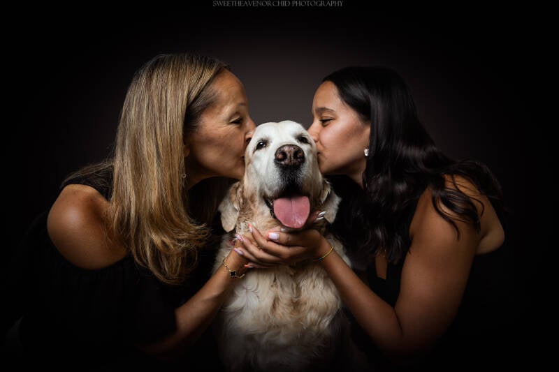 Animaux de compagnie Photographe animalière Valais chiens 