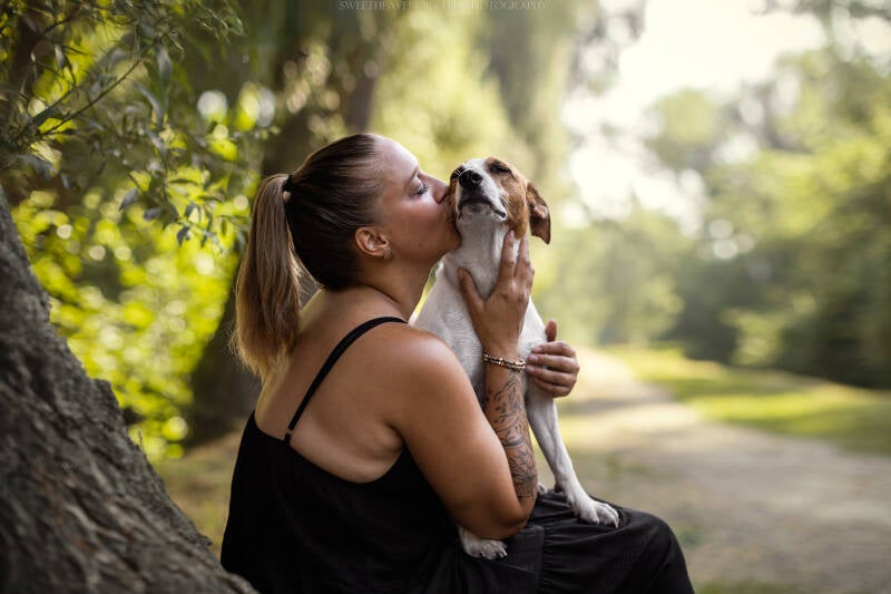 Animaux de compagnie Photographe animalière Valais chiens 