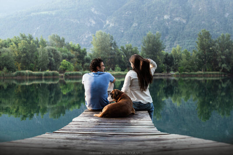 Animaux de compagnie Photographe animalière Valais chiens 