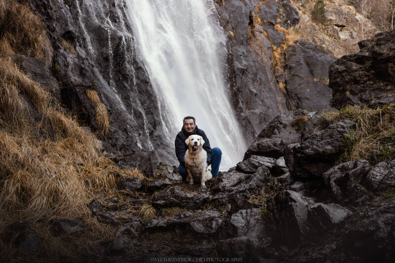 Animaux de compagnie Photographe animalière Valais chiens 