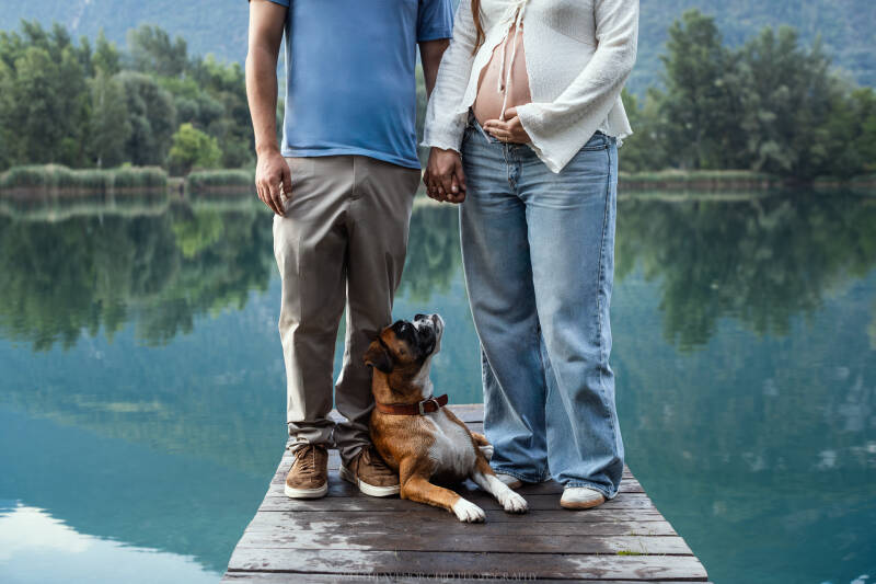 Animaux de compagnie Photographe animalière Valais chiens 