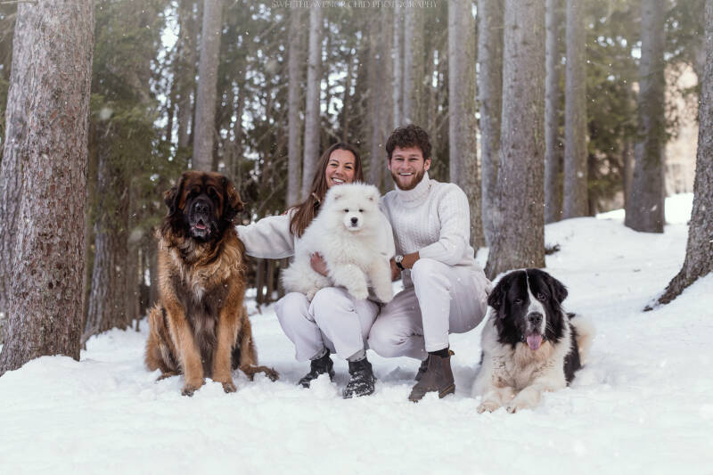 Animaux de compagnie Photographe animalière Valais chiens 