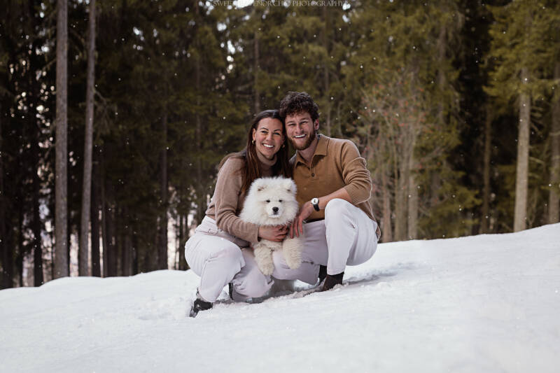 Animaux de compagnie Photographe animalière Valais chiens 