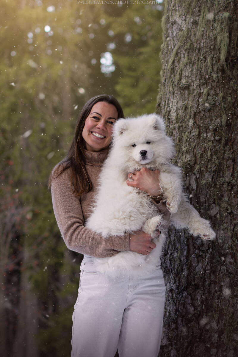 Animaux de compagnie Photographe animalière Valais chiens 