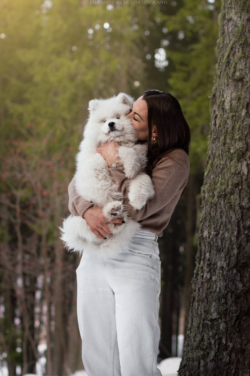 Animaux de compagnie Photographe animalière Valais chiens 