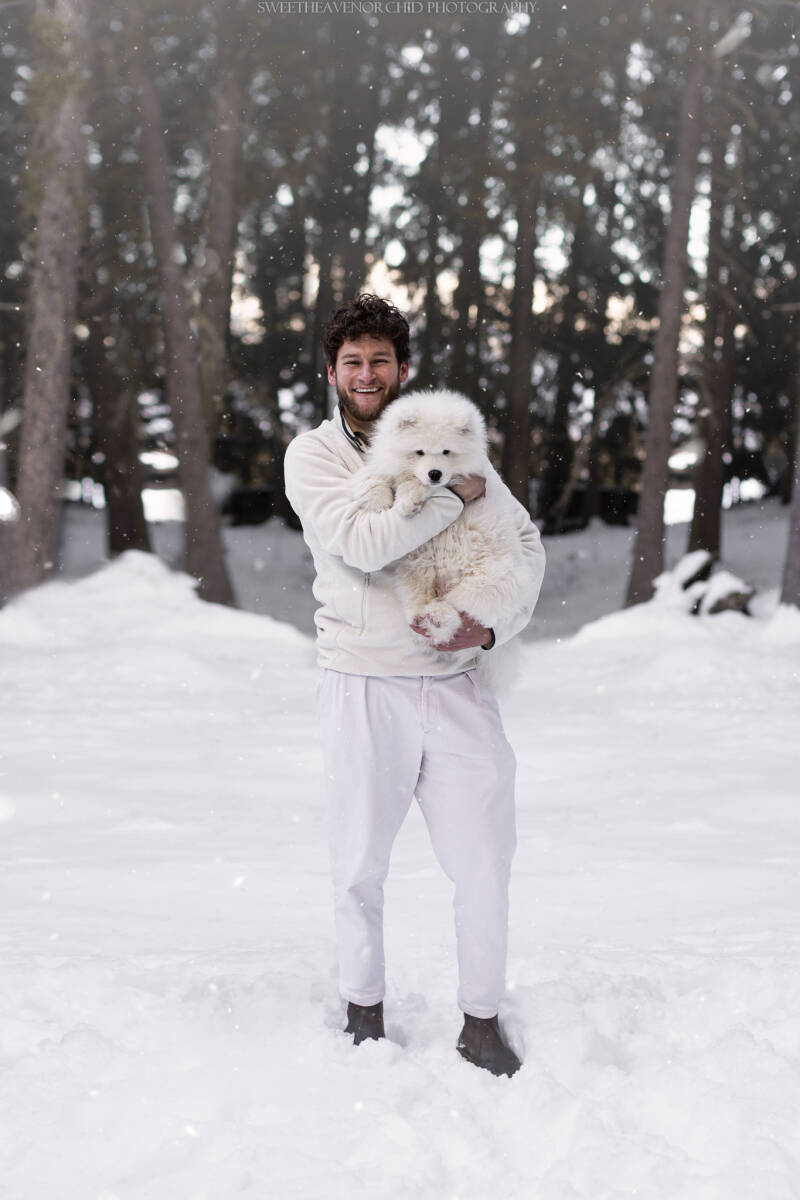 Animaux de compagnie Photographe animalière Valais chiens 