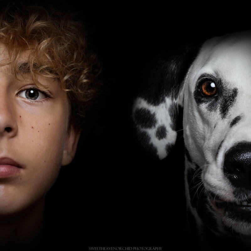 Animaux de compagnie Photographe animalière Valais chiens 