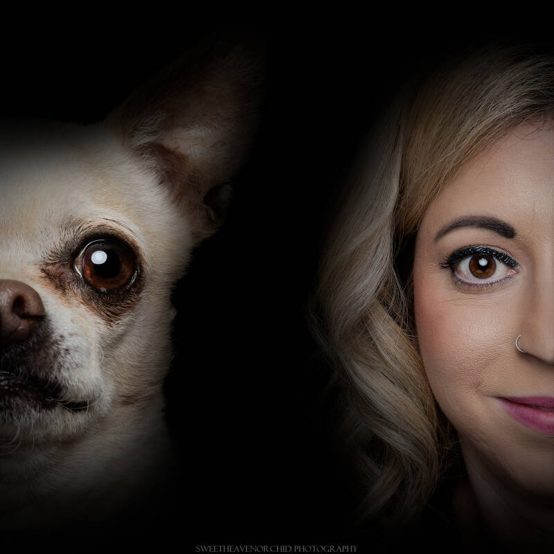 Animaux de compagnie Photographe animalière Valais chiens 