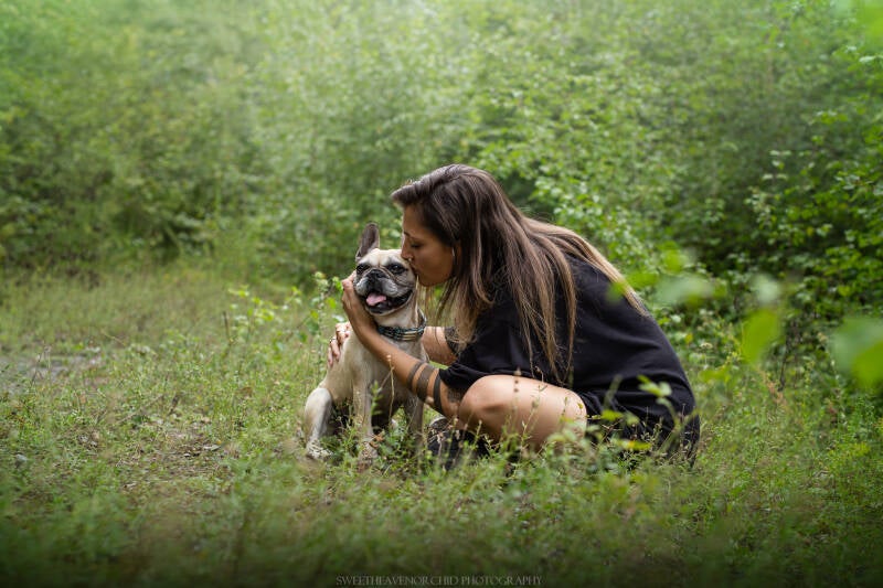 Animaux de compagnie Photographe animalière Valais chiens 