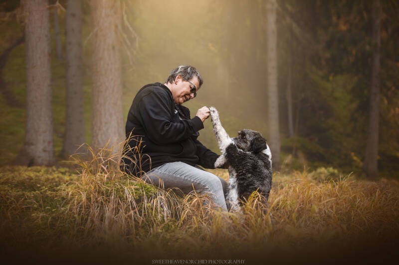 Animaux de compagnie Photographe animalière Valais chiens 