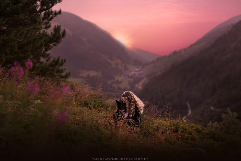 Animaux de compagnie Photographe animalière Valais chiens 