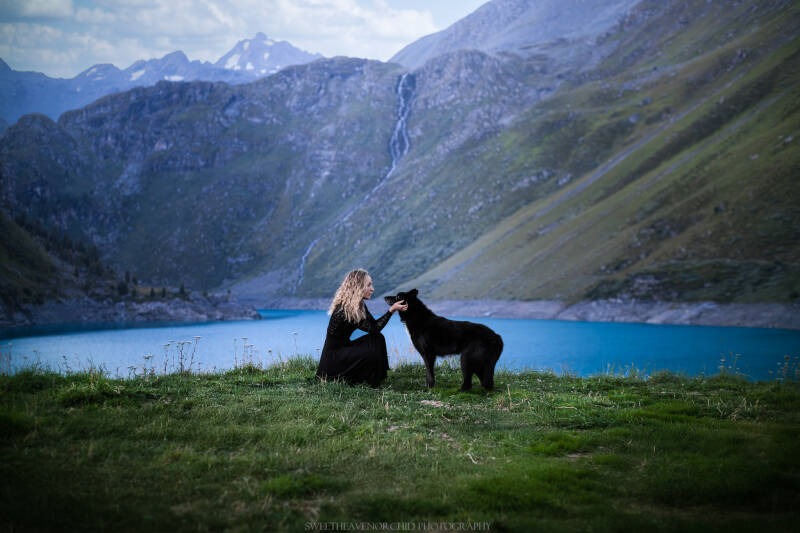 Animaux de compagnie Photographe animalière Valais chiens 