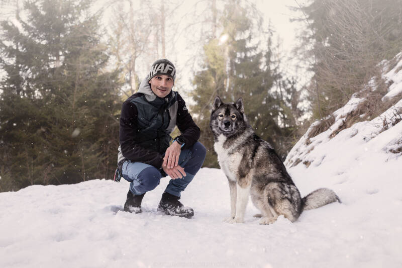 Animaux de compagnie Photographe animalière Valais chiens 
