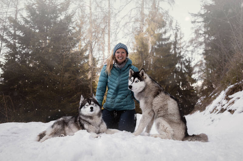 Animaux de compagnie Photographe animalière Valais chiens 