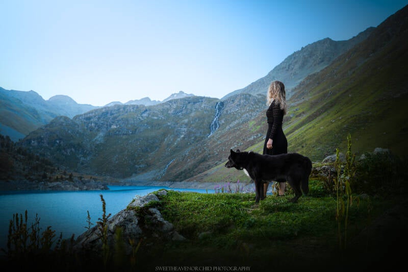Animaux de compagnie Photographe animalière Valais chiens 