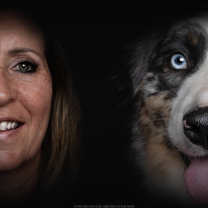Animaux de compagnie Photographe animalière Valais chiens