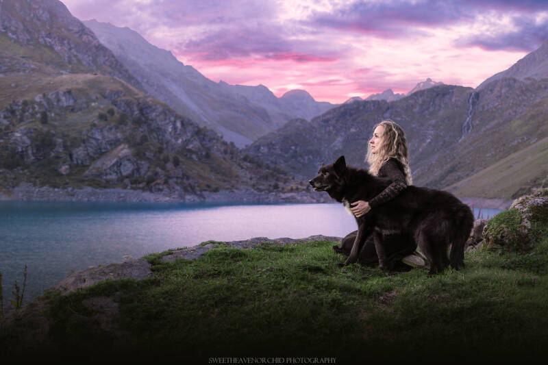 Animaux de compagnie Photographe animalière Valais chiens 