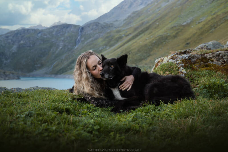 Animaux de compagnie Photographe animalière Valais chiens 