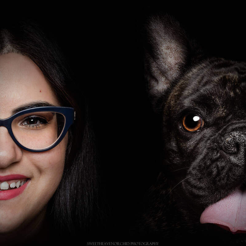 Animaux de compagnie Photographe animalière Valais chiens 