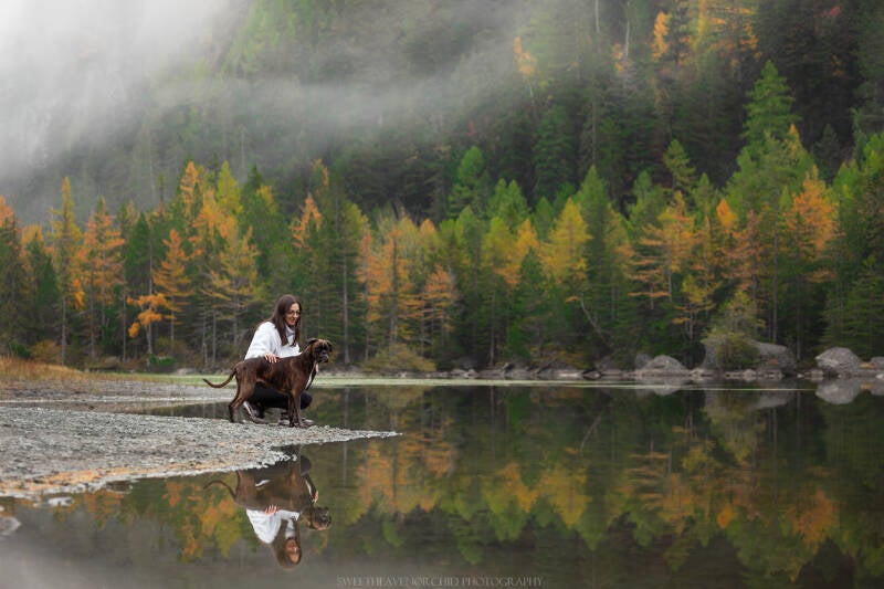 Animaux de compagnie Photographe animalière Valais chiens 