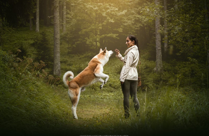 Animaux de compagnie Photographe animalière Valais chiens