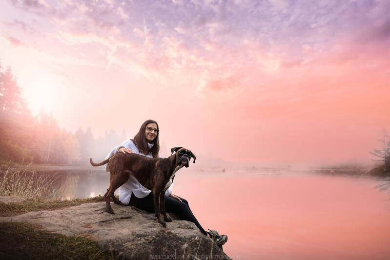 Animaux de compagnie Photographe animalière Valais chiens 