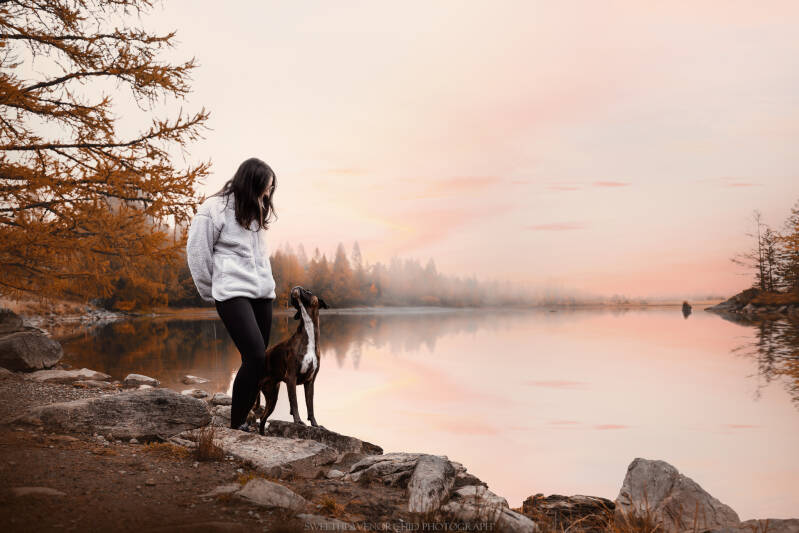 Animaux de compagnie Photographe animalière Valais chiens 