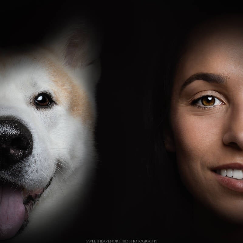 photographe suisse yeux, photographe valais yeux, photographe valais suisse yeux animaux chien, séance photo studio, séance photo valais, photographe canine