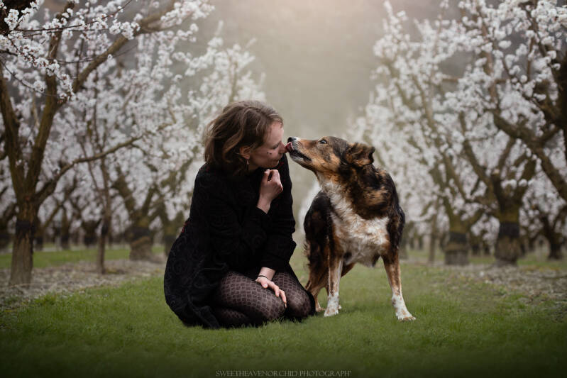 Animaux de compagnie Photographe animalière Valais chiens 