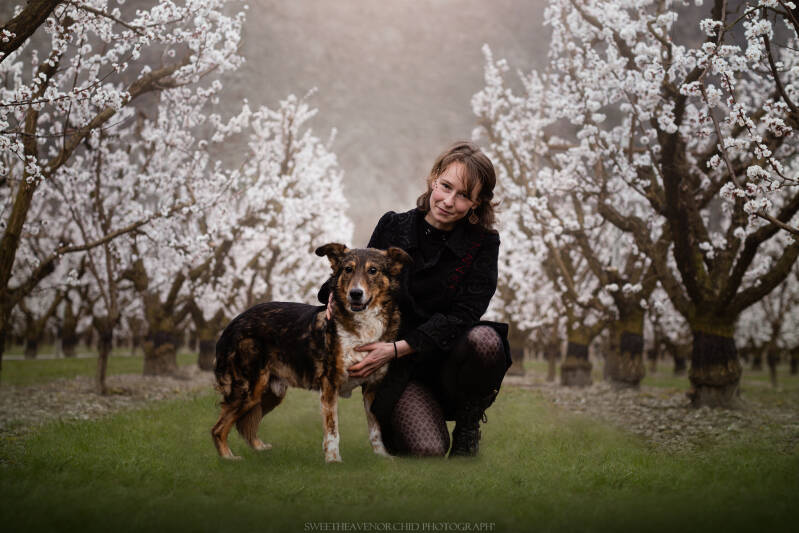 Animaux de compagnie Photographe animalière Valais chiens 