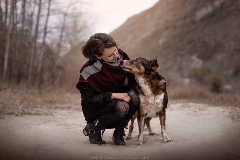 Animaux de compagnie Photographe animalière Valais chiens 
