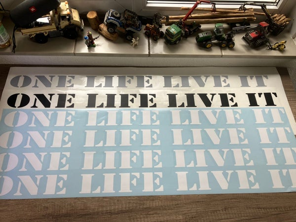 ONE LIFE LIVE IT Raamband