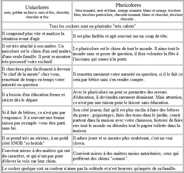 Le caractère du Cocker Anglais-Elevage la Légende des Elfes-Normandie