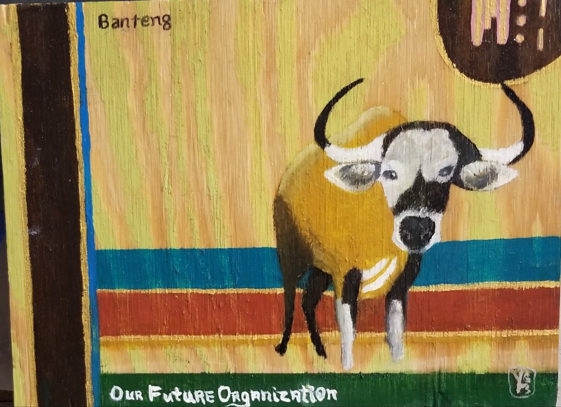 Banteng.   Siem Pang Wildlife Sanctuary, Cambodia (From the Conservation as a Goal category)