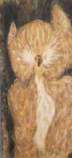 ...And Then The Trippy Owl Appeared