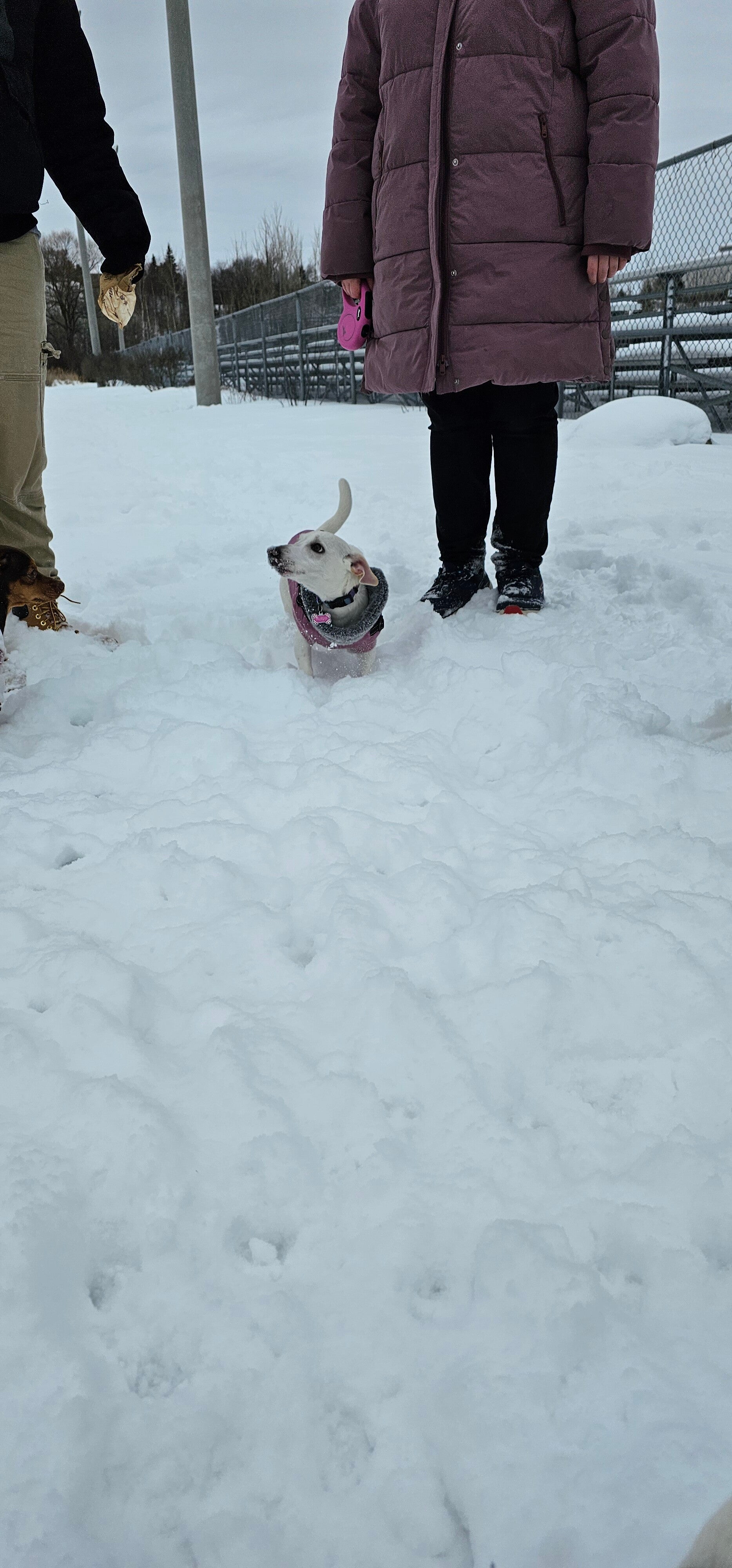20250131_122423-standard.jpg