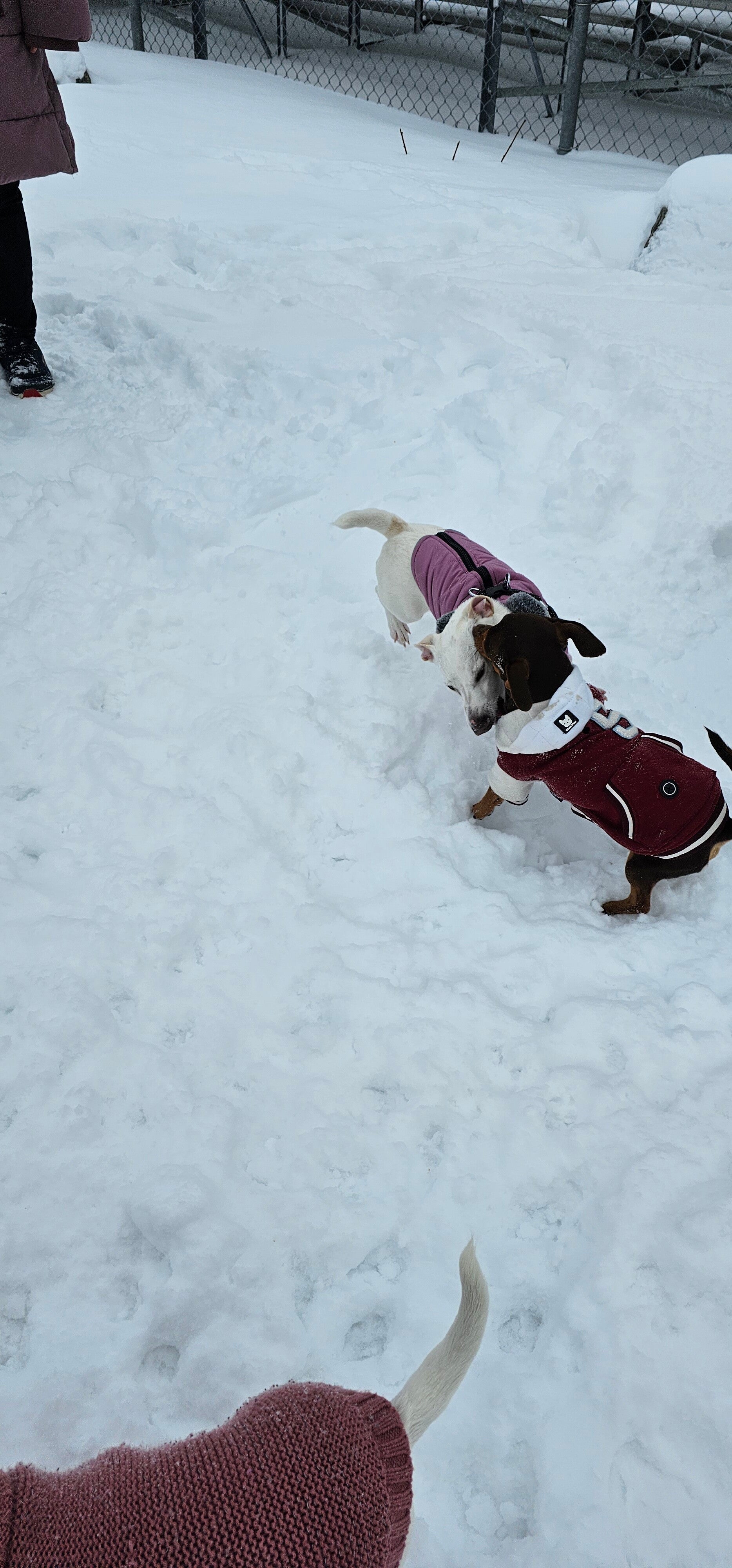 20250131_122443-standard.jpg
