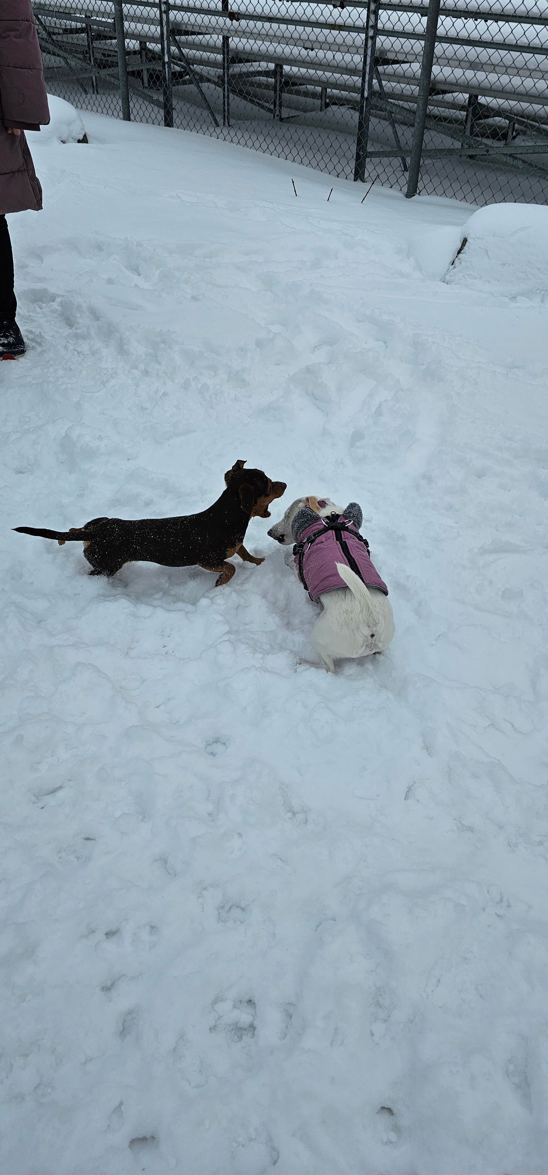 20250131_122516-standard.jpg