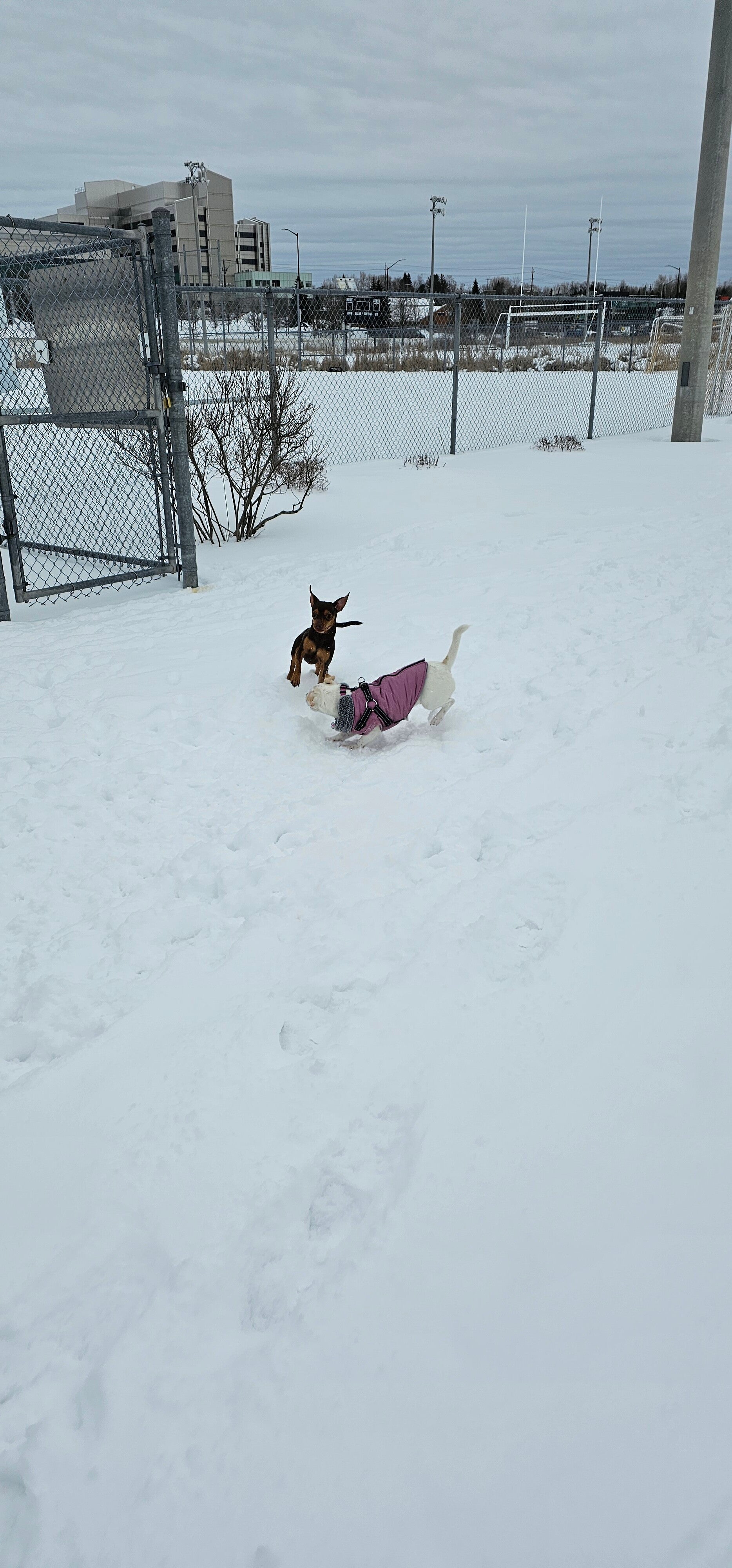 20250131_122525-standard.jpg