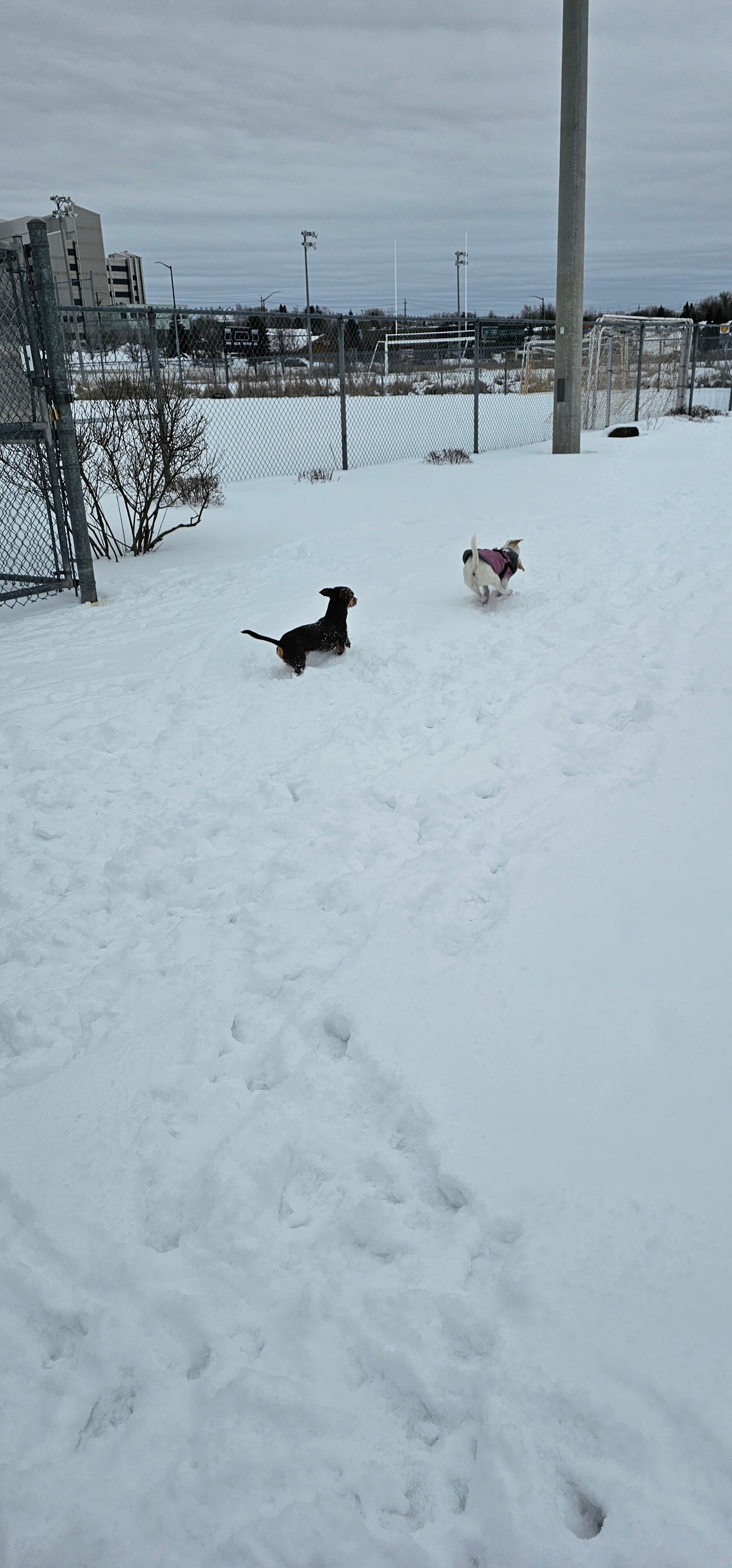 20250131_122601-standard.jpg