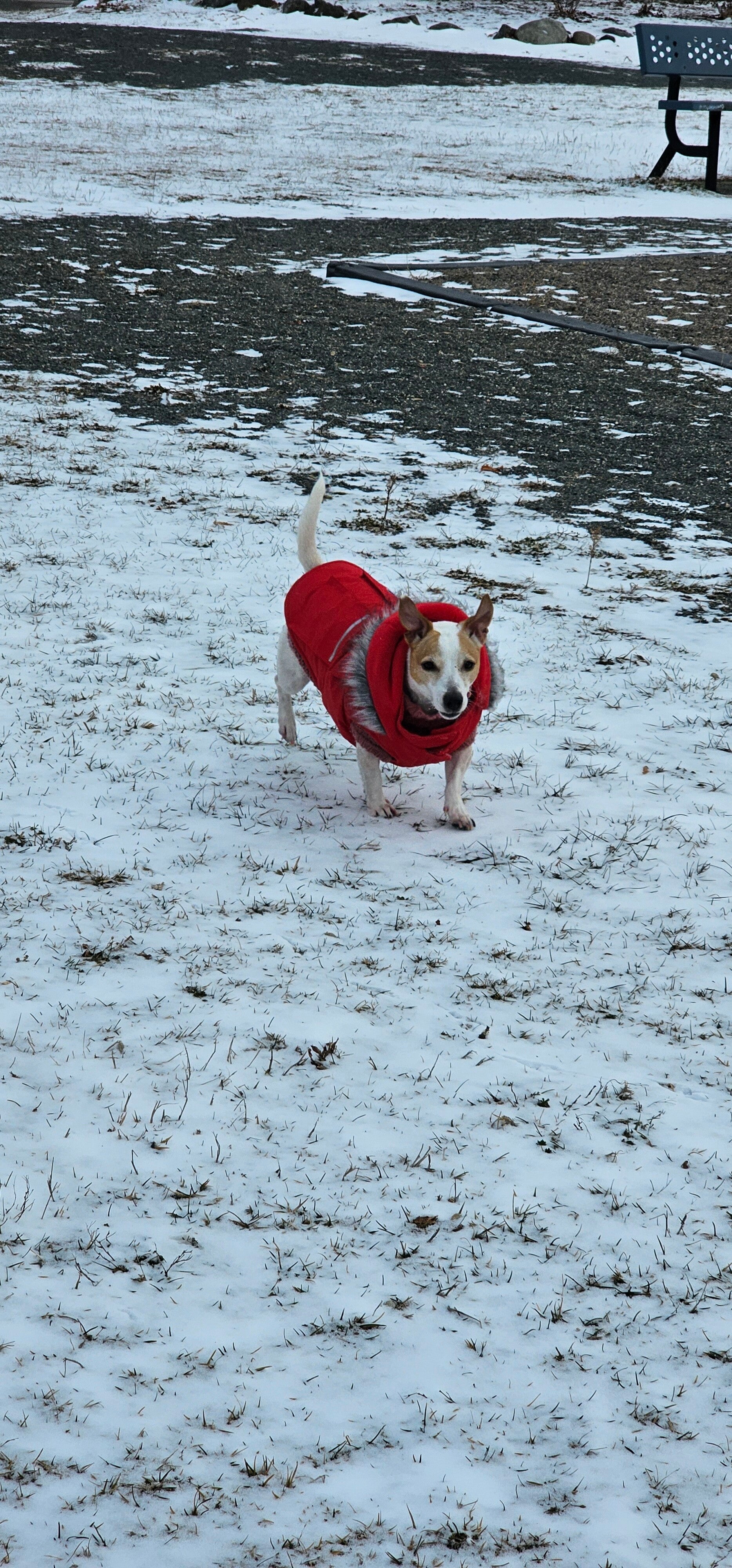 20251128_151141-standard.jpg