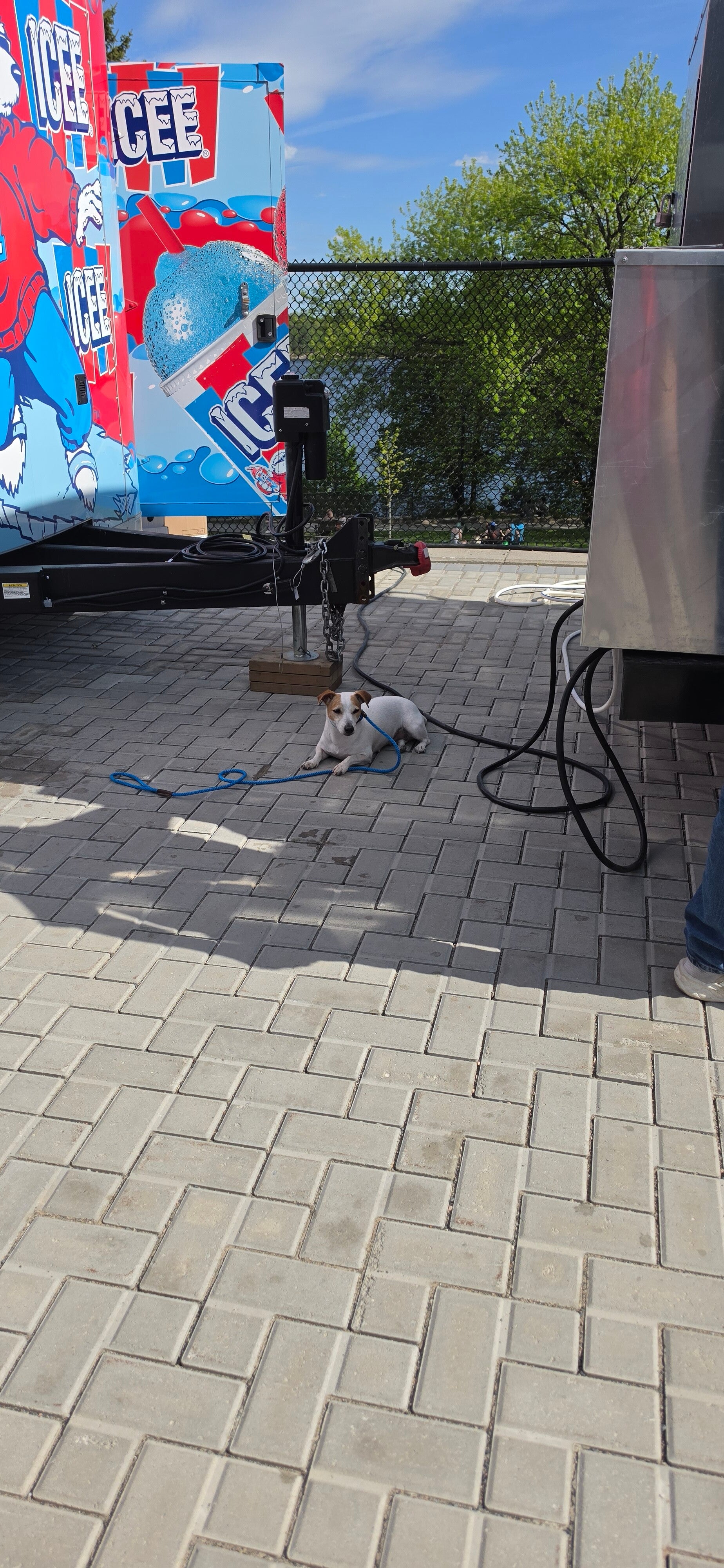 20260531_165030-standard.jpg