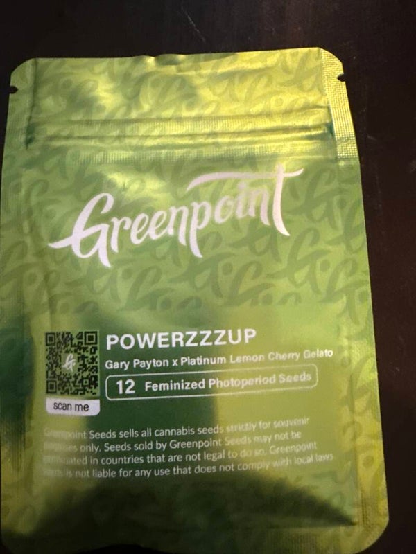 Powerzupp Gary Payton platinum lemon cherry gelato