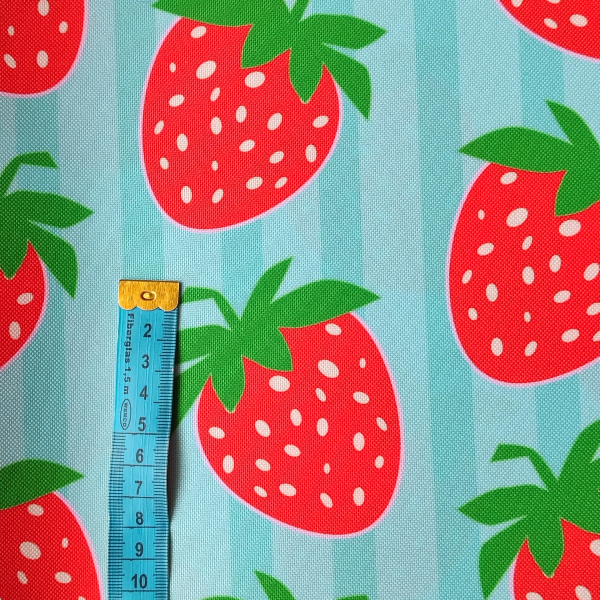 Outdoorstoff Erdbeere 🍓🍓 groß hellblau
