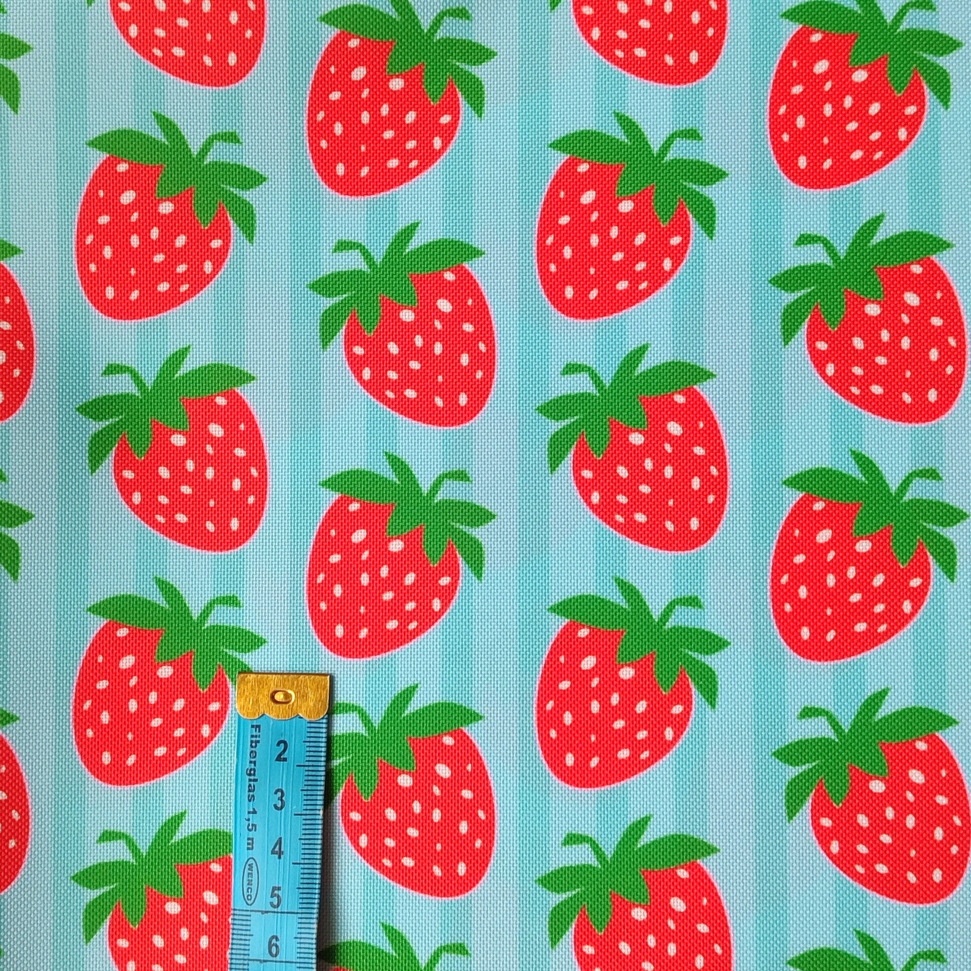 Outdoorstoff Erdbeere 🍓 hellblau rot