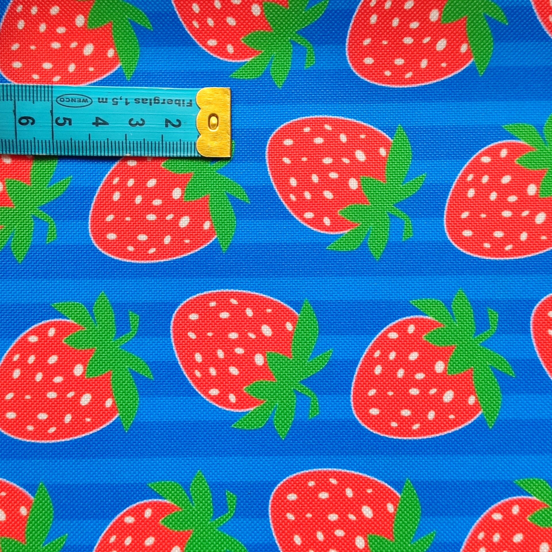 Outdoorstoff Erdbeere 🍓 blau