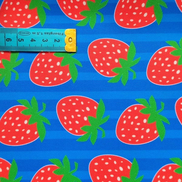 Outdoorstoff Erdbeere 🍓 blau