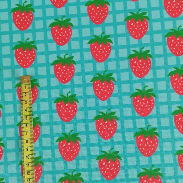 Outdoorstoff kleine Erdbeere 🍓 blau