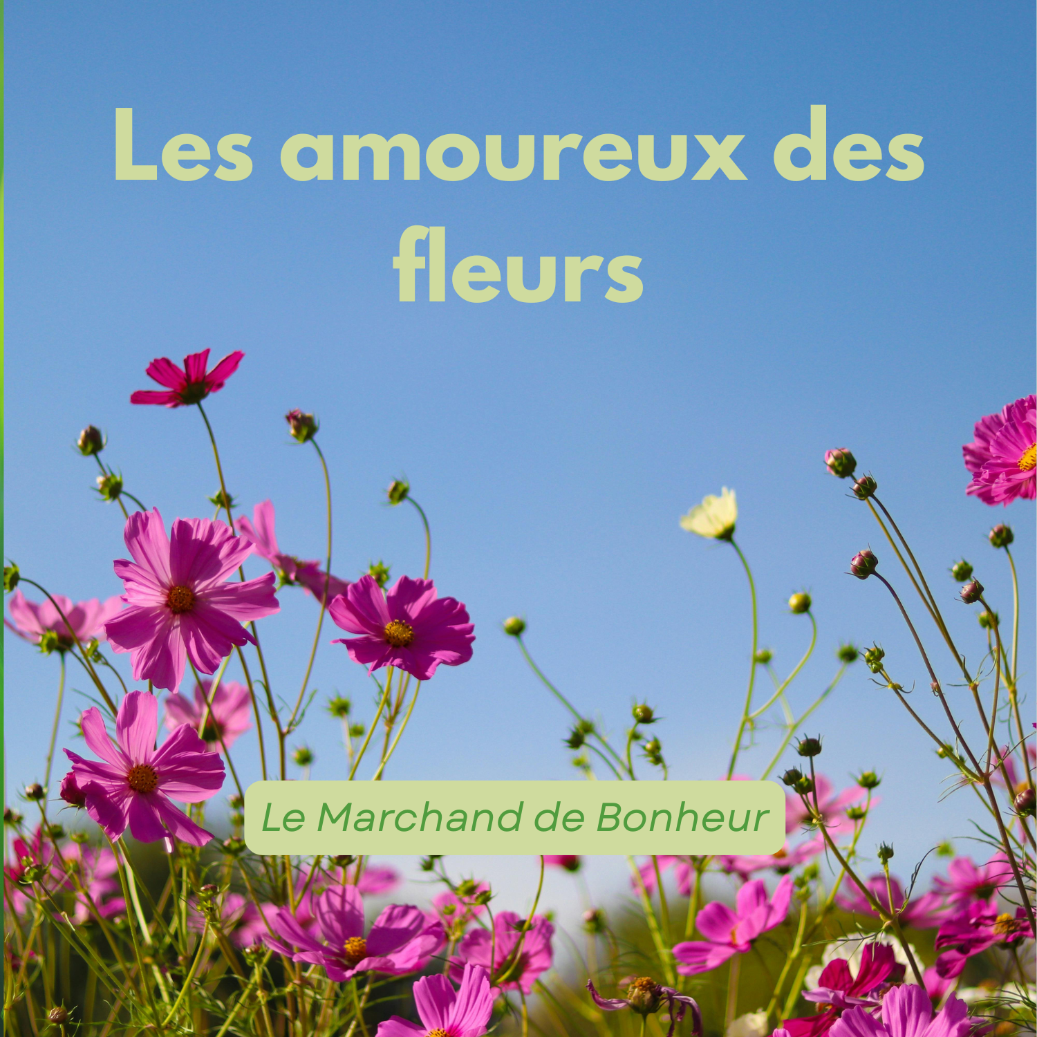 Chansons gratuites pour fleuristes