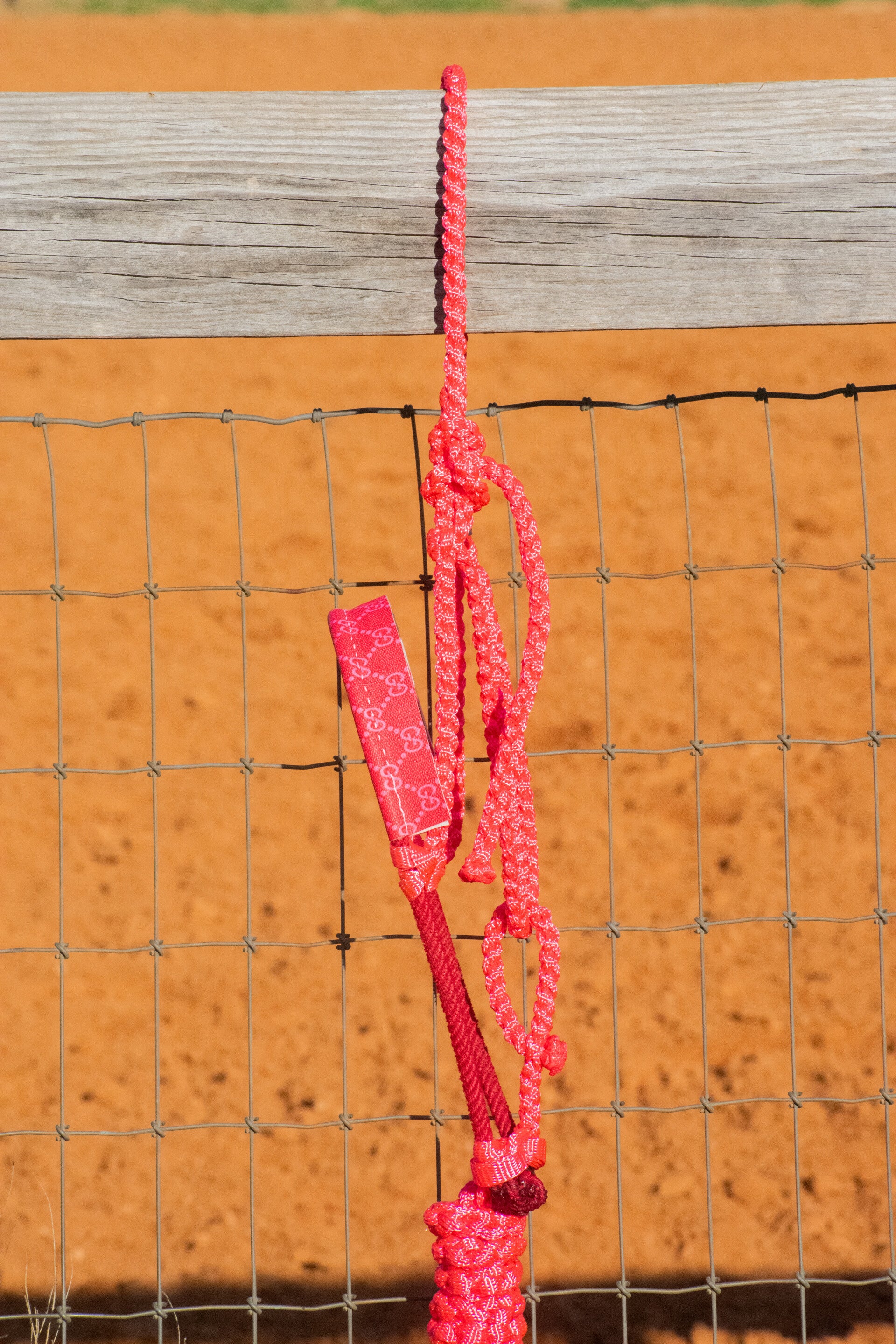 Pink Muletape Halter